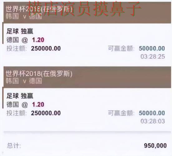 世界杯投注平台解析合集：覆盖真实体验与入口方式 - 世界杯直播