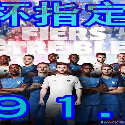 新手必看：世界杯买球网站用户反馈+直播详解 + 世界杯高清直播