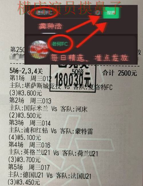 世界杯投注网站大全揭秘报告：玩法指南+直播与实际体验总结 - World Cup 2026